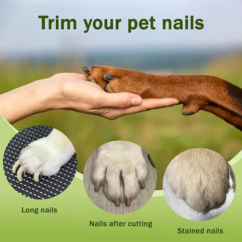 Petlovers 2-in-1 Rechargeable Nail Clipper and Grinder for Dogs and Cats - Ultra Quiet Electric Trimming Tool for All Sizes