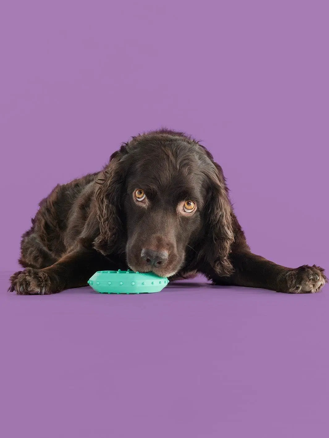 Yomp Chillchew Freezable Dog Toy - Cooling Chew Toy for Soft and Medium Chewers, Ideal for Frozen Treats and Teething, Crafted from Pet-Safe, Non-Toxic Silicone