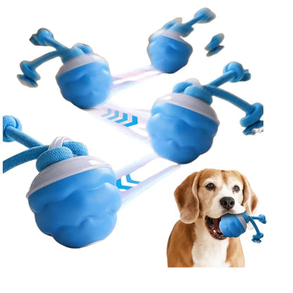 Motion-Activated Interactive Dog Toy - Squeaky Rolling Ball for Daily Training, Ideal for Small Dogs and Cats, Pet Accessories (2.95 x 2.95 x 4.33 Inches)