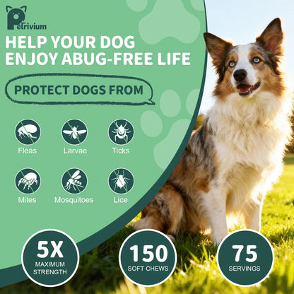 Petrivium 150 Count Dog Flea & Tick Support Soft Chews - Natural Oral Supplement for All Breeds & Sizes - Chicken Flavor